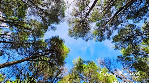 Foto 2 de Finca rústica en venda a Parcent, Alicante