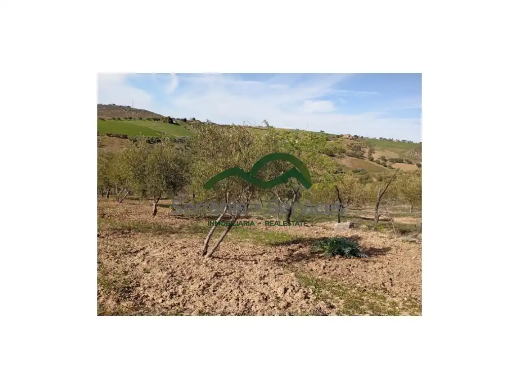 Country house zum Verkauf in Ronda