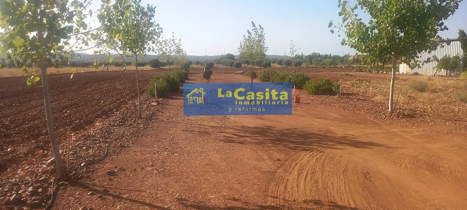 Detached house with garden for sale in Bolaños de Calatrava, imagen 8