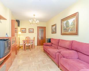 Living room of Flat for sale in Mieres (Asturias)  with Heating, Private garden and Terrace