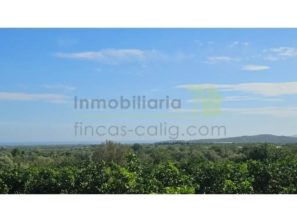 Terreny residencial en venda a Càlig, imagen 12