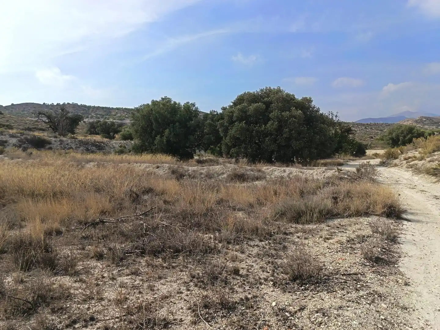 Residencial en venda en Alicante / Alacant