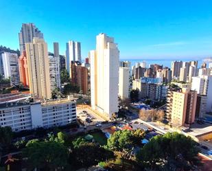 Vista exterior de Apartament en venda en Benidorm amb Calefacció, Jardí privat i Terrassa