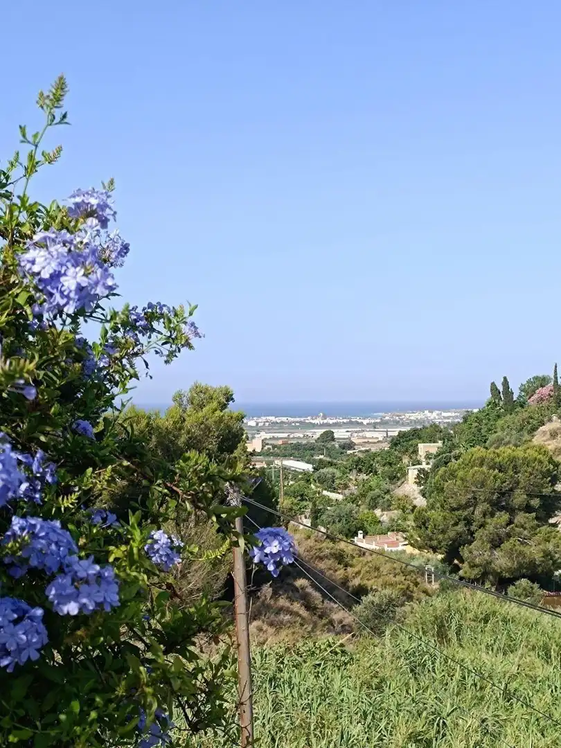 Haus mit Pool zum Verkauf in Motril  ciudad, imagen 33