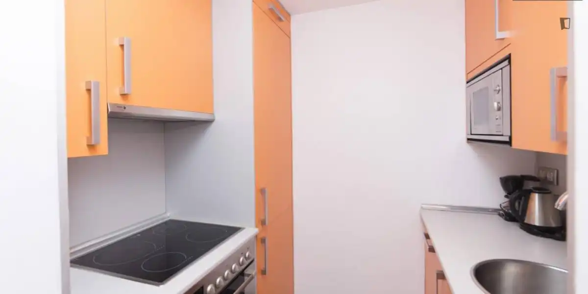 Apartamento con ascensor en alquiler en Centro, imagen 11