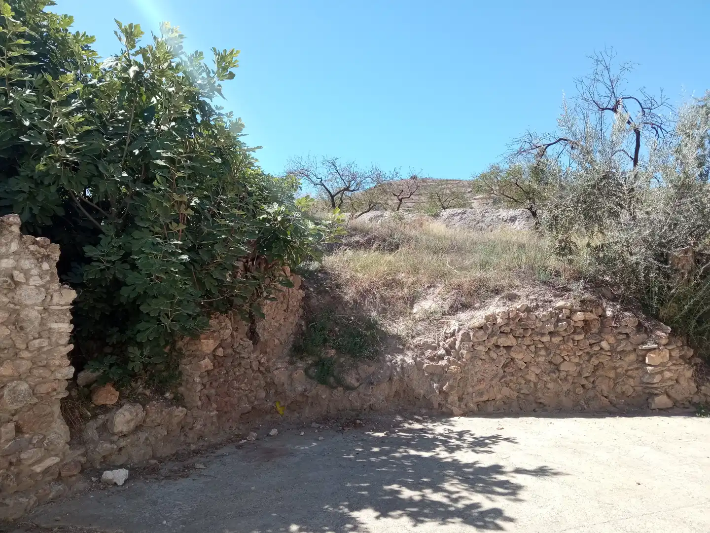 Residential for sale in Turón