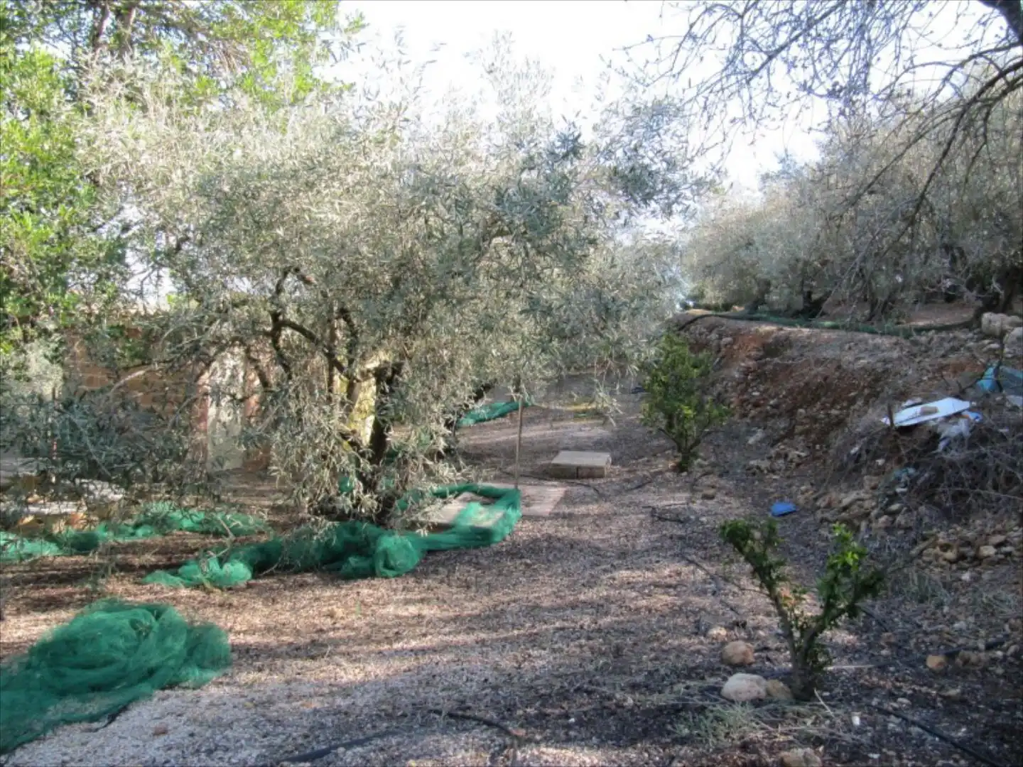 Garden of Residential for sale in Barxeta