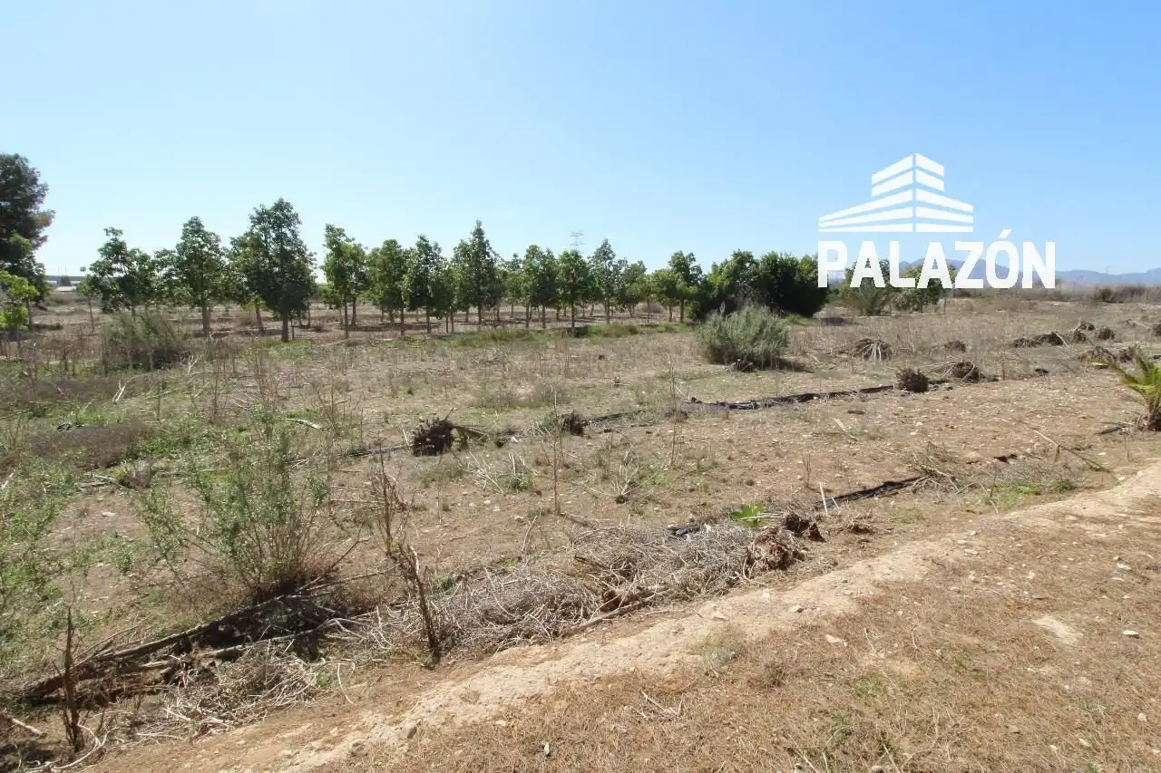 Terreno rustico in vendita a Crevillent, imagen 4