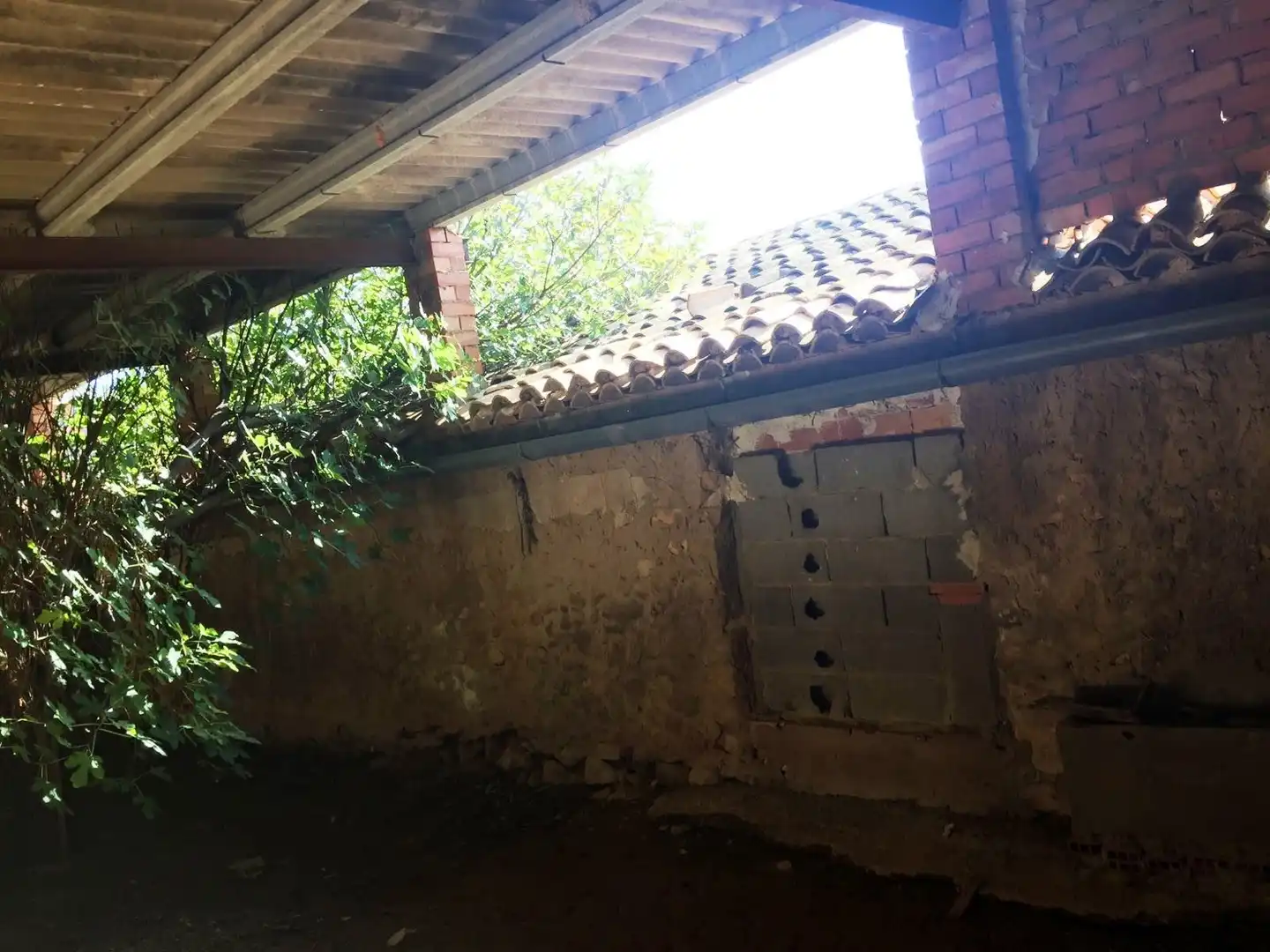 Terreny rústic en venda a Macastre, imagen 11