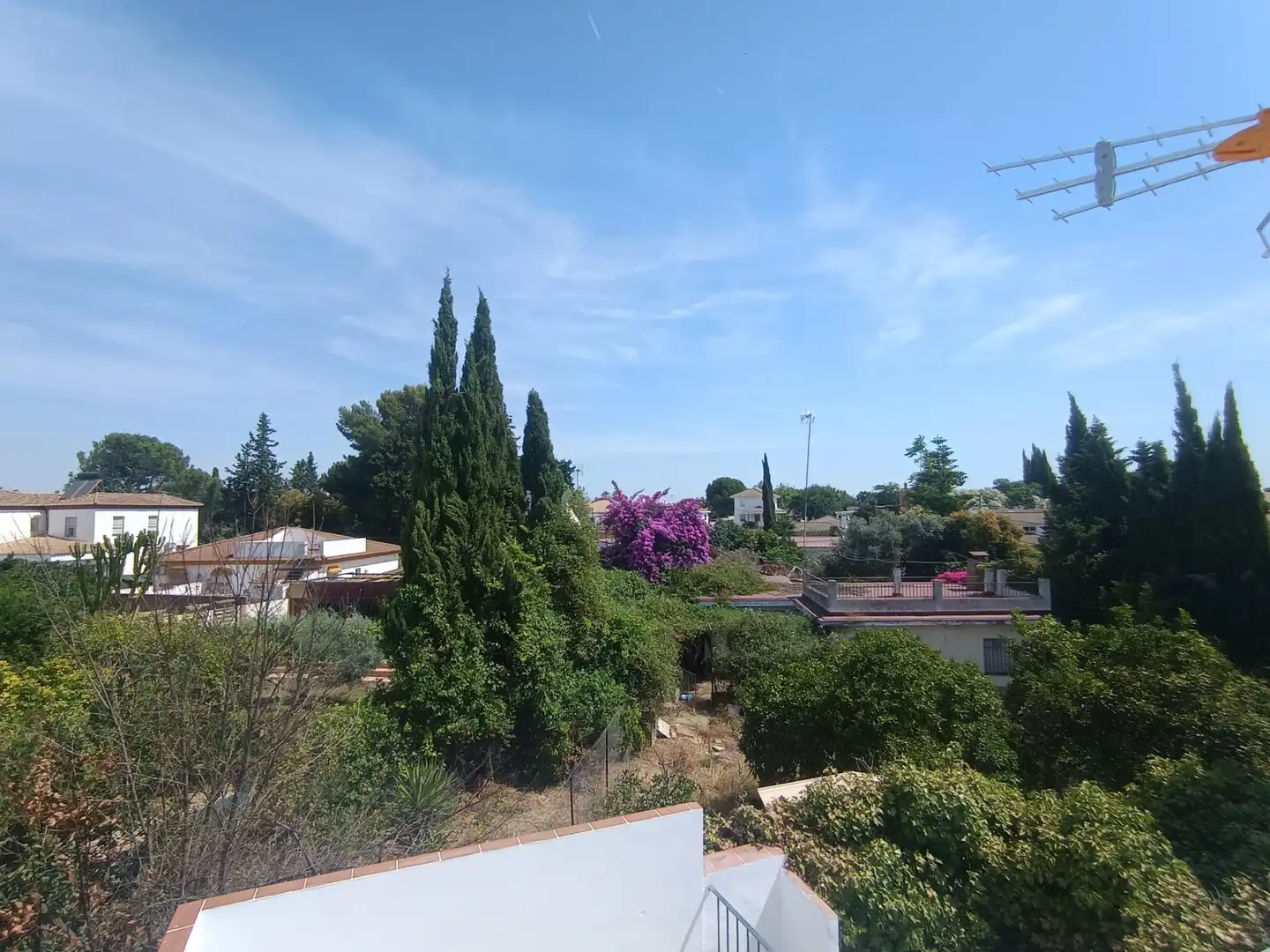 Jardín de Casa o chalet en venta en Palomares del Río