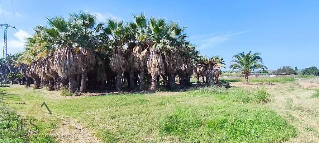 Land for sale in Sant Joan Despí