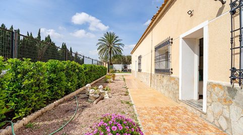 Photo 5 of Houses for sale in Torrejon San Br, Rojales, Alicante