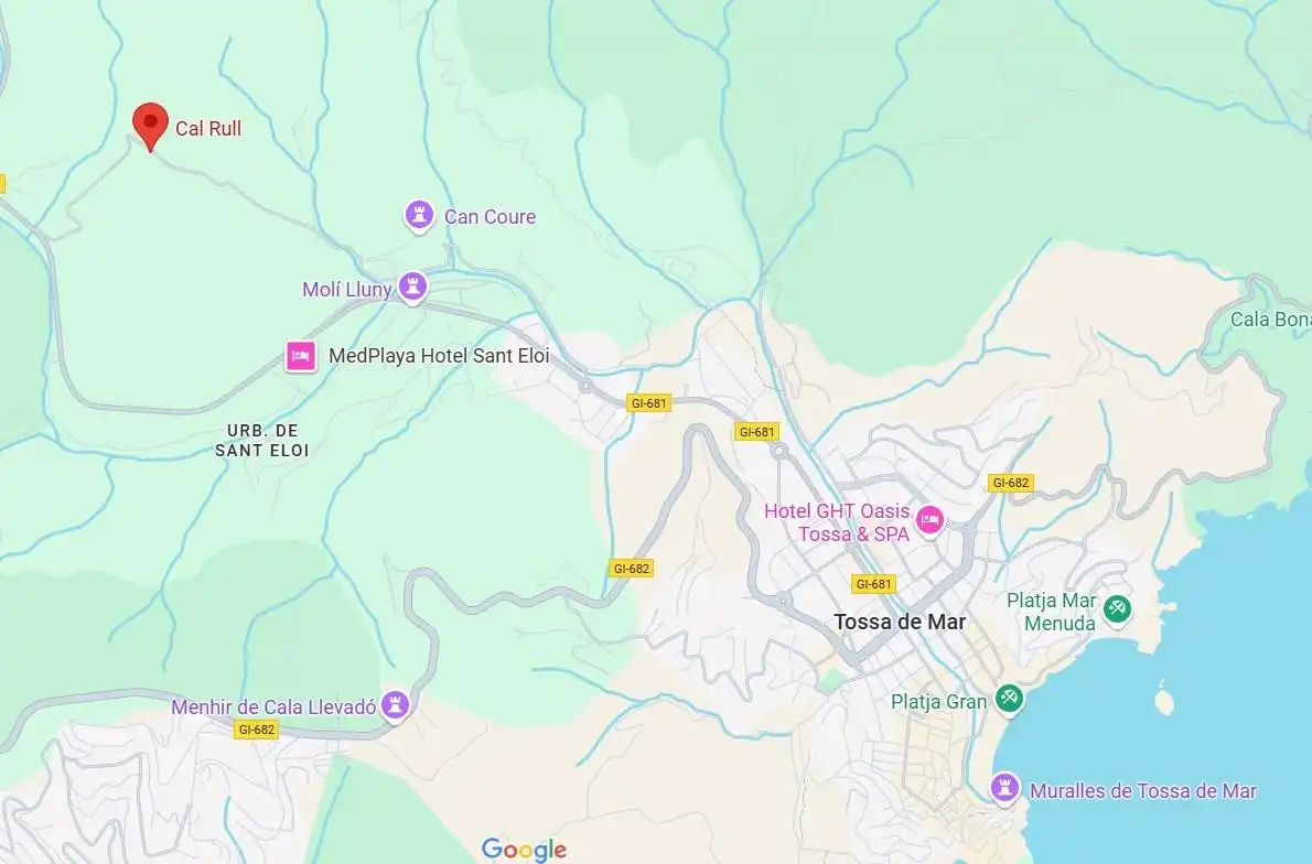 Vista exterior de Finca rústica en venta en Tossa de Mar con Jardín privado