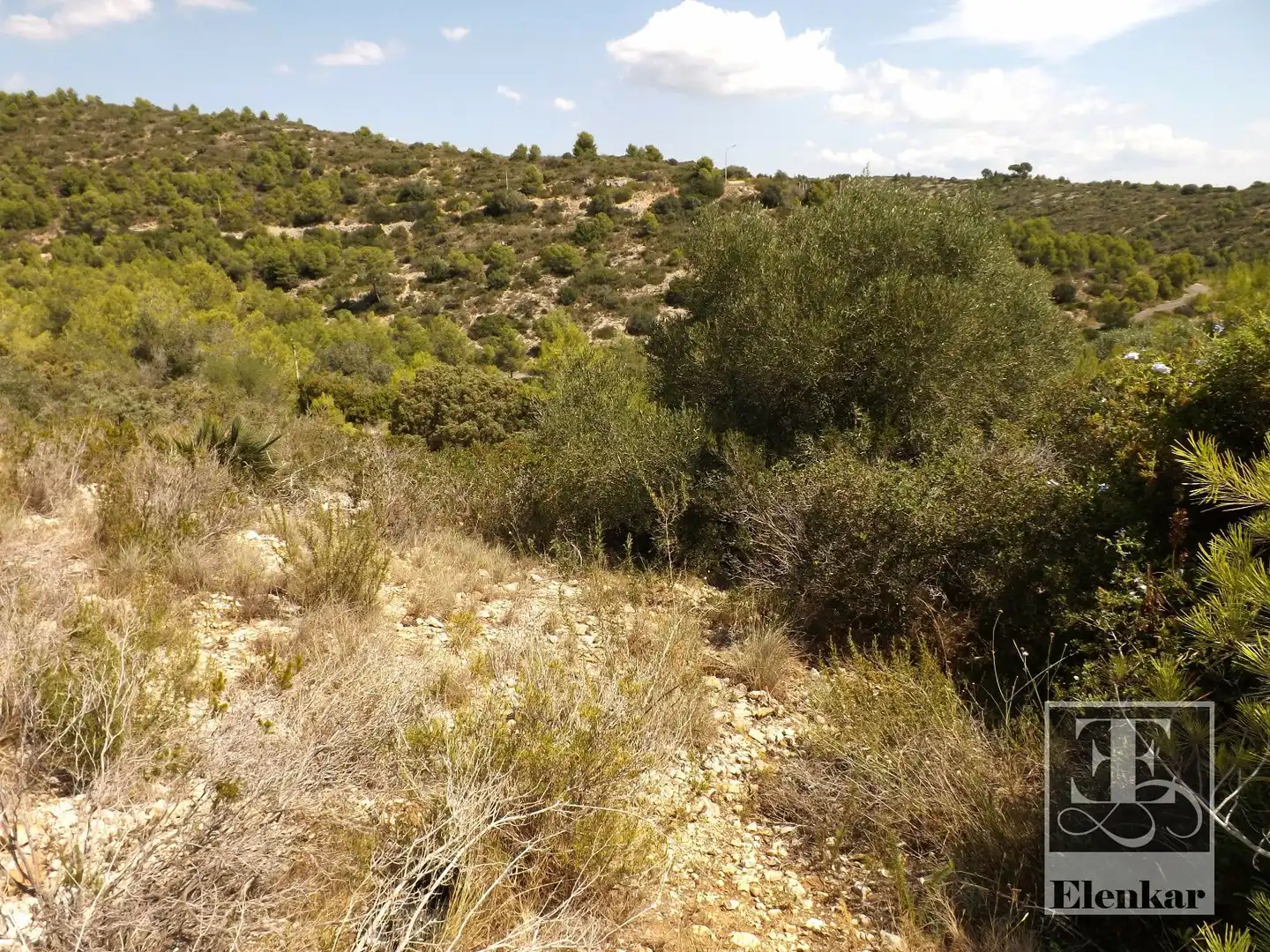 Rural land for sale in BOI, imagen 9