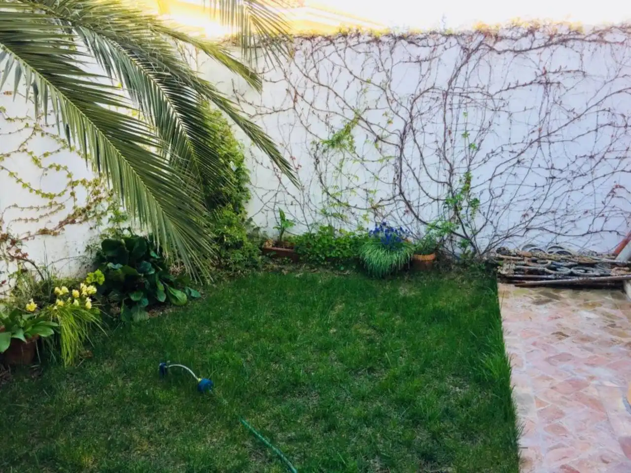 Jardí de Casa o xalet en venda en Baza amb Jardí privat