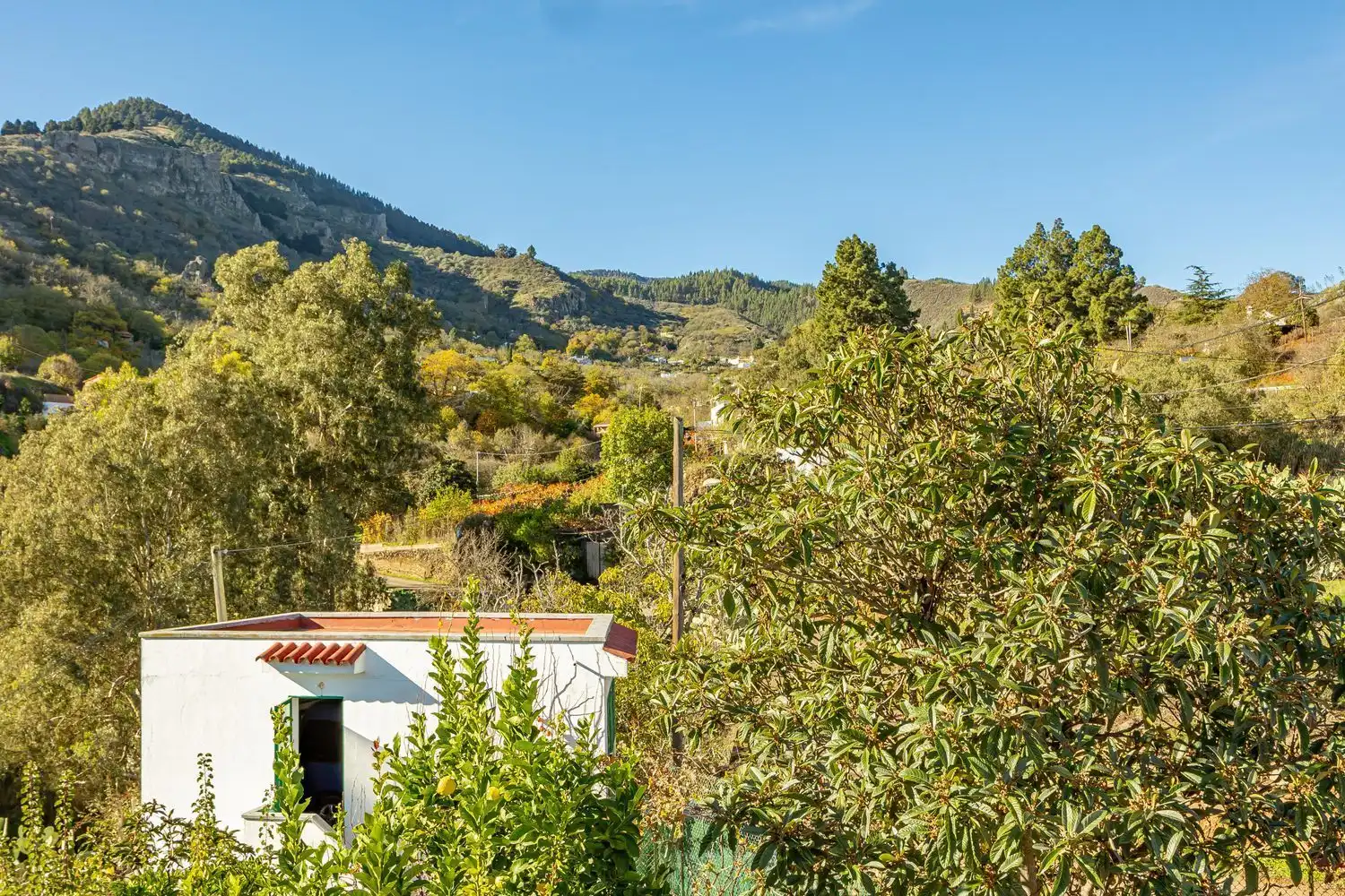 Vista exterior de Casa o xalet en venda en Vega de San Mateo amb Jardí privat i Terrassa