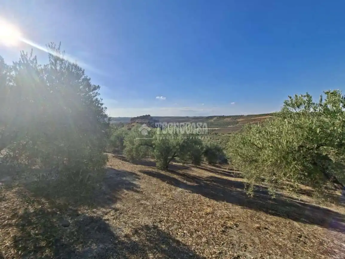 Terreno en venta en Montilla