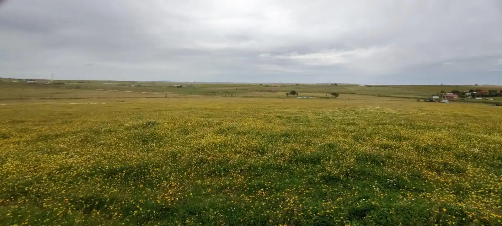 Terreni e lotti in vendita a Sierra de Fuentes, imagen 6