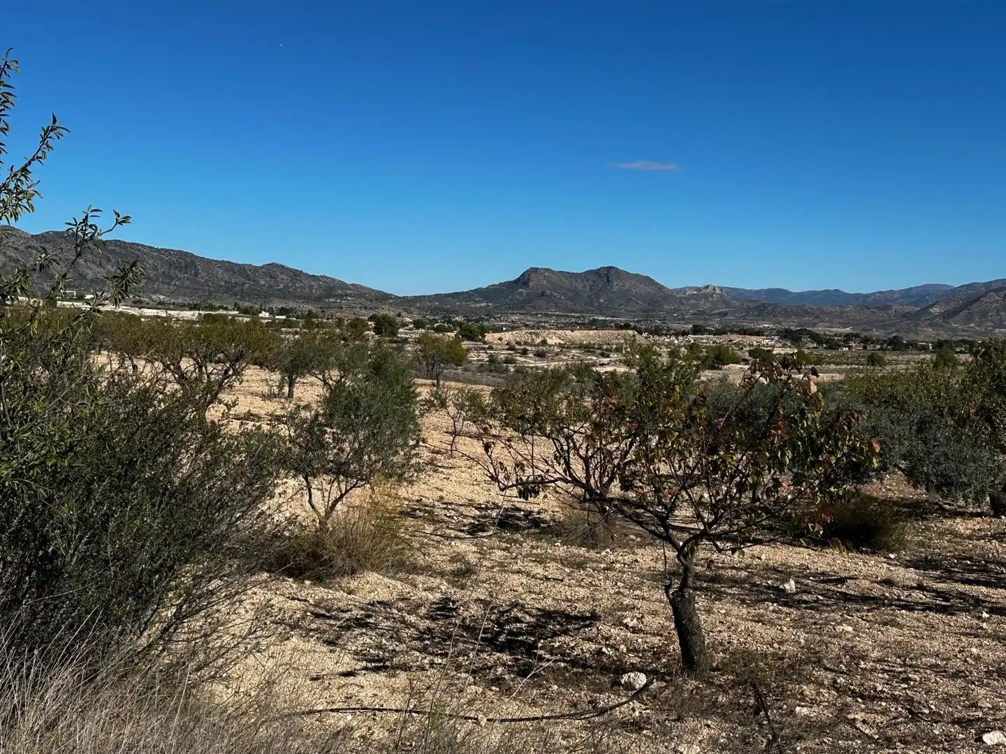 Xalet en venda a Monóvar  / Monòver, imagen 22