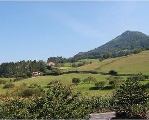 Vista exterior de Casa o xalet en venda en Sopuerta