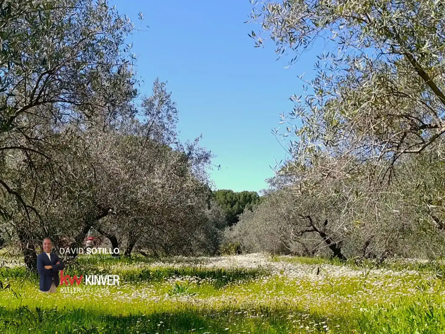 Casa o chalet en venta en Bailén con Aire acondicionado, Jardín privado y Trastero