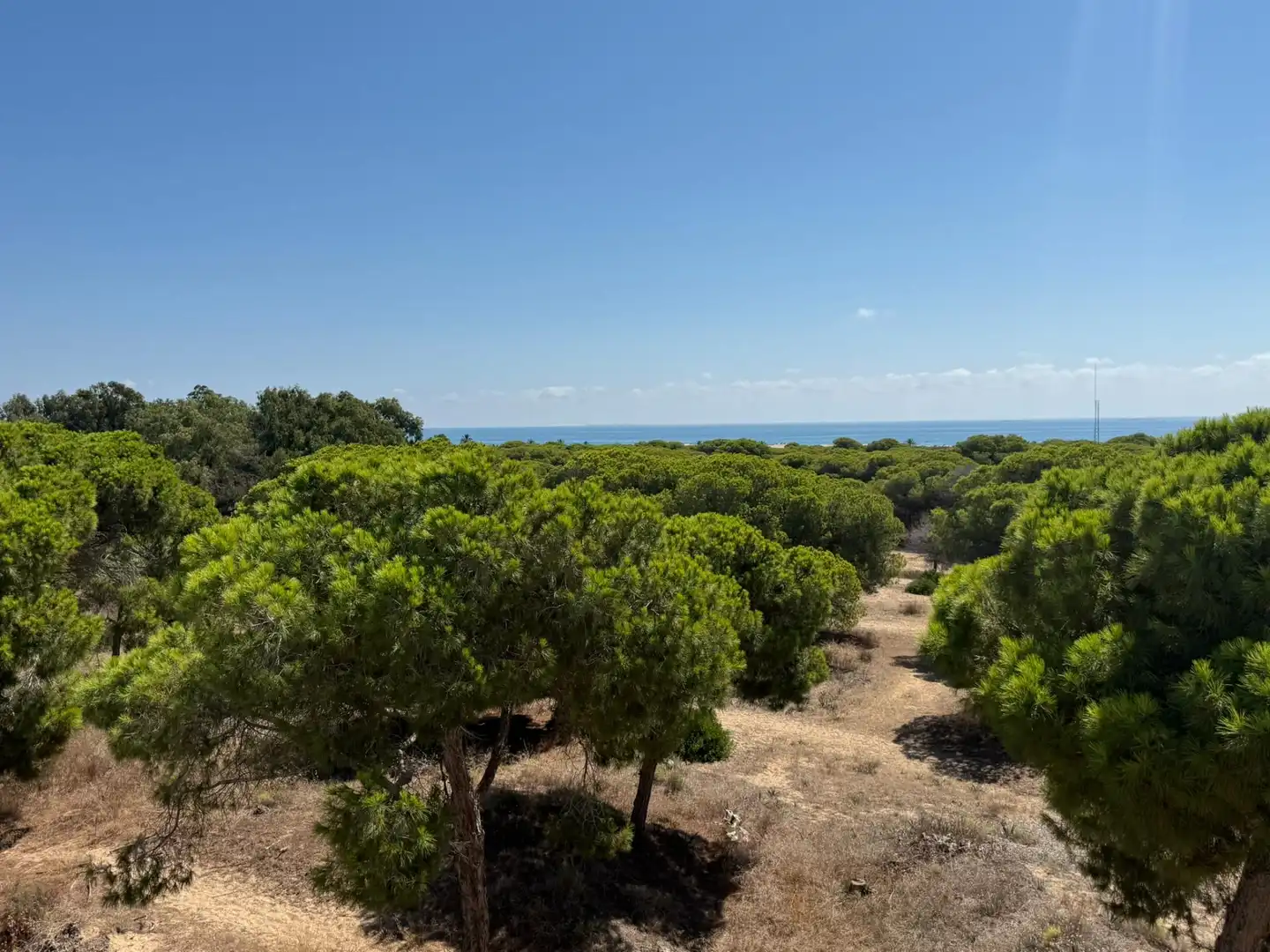 Piso en venta en Guardamar del Segura con Aire acondicionado, Terraza y Trastero