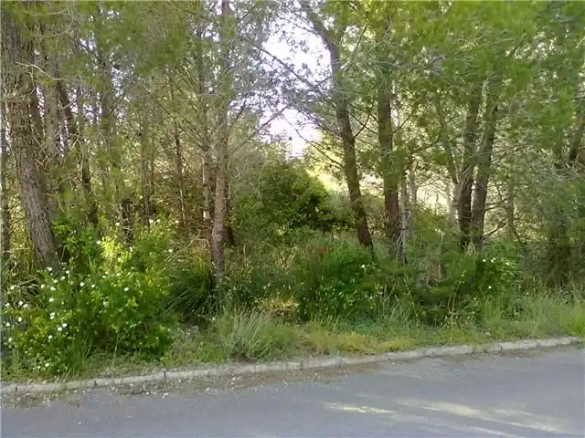 Terrenys i solars en venda a Betlem, imagen 10