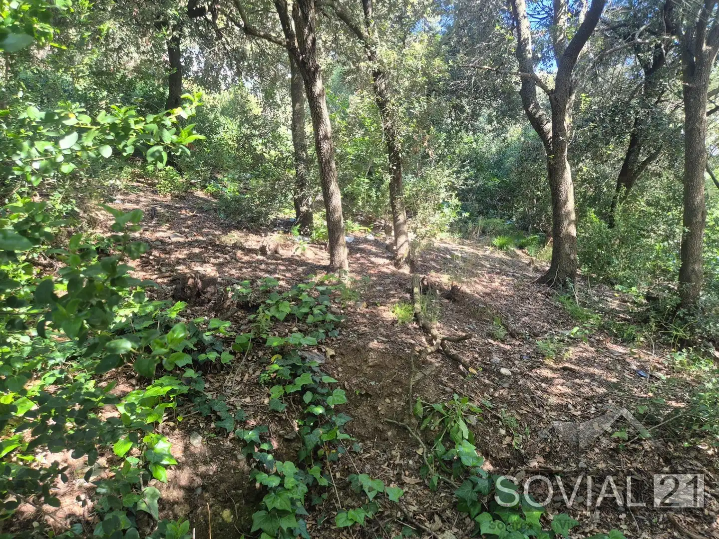 Terreno residenziale in vendita a Les Planes, imagen 6