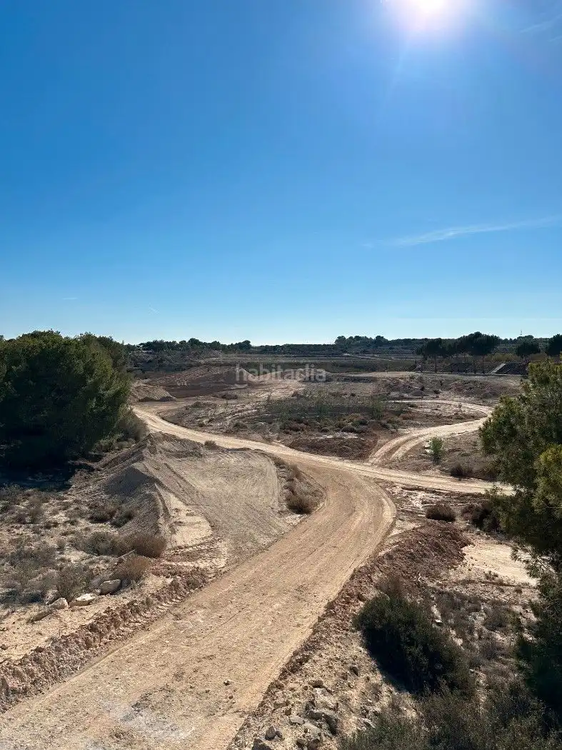 Terrain rustique à vendre à Camino de Catral 31, imagen 4