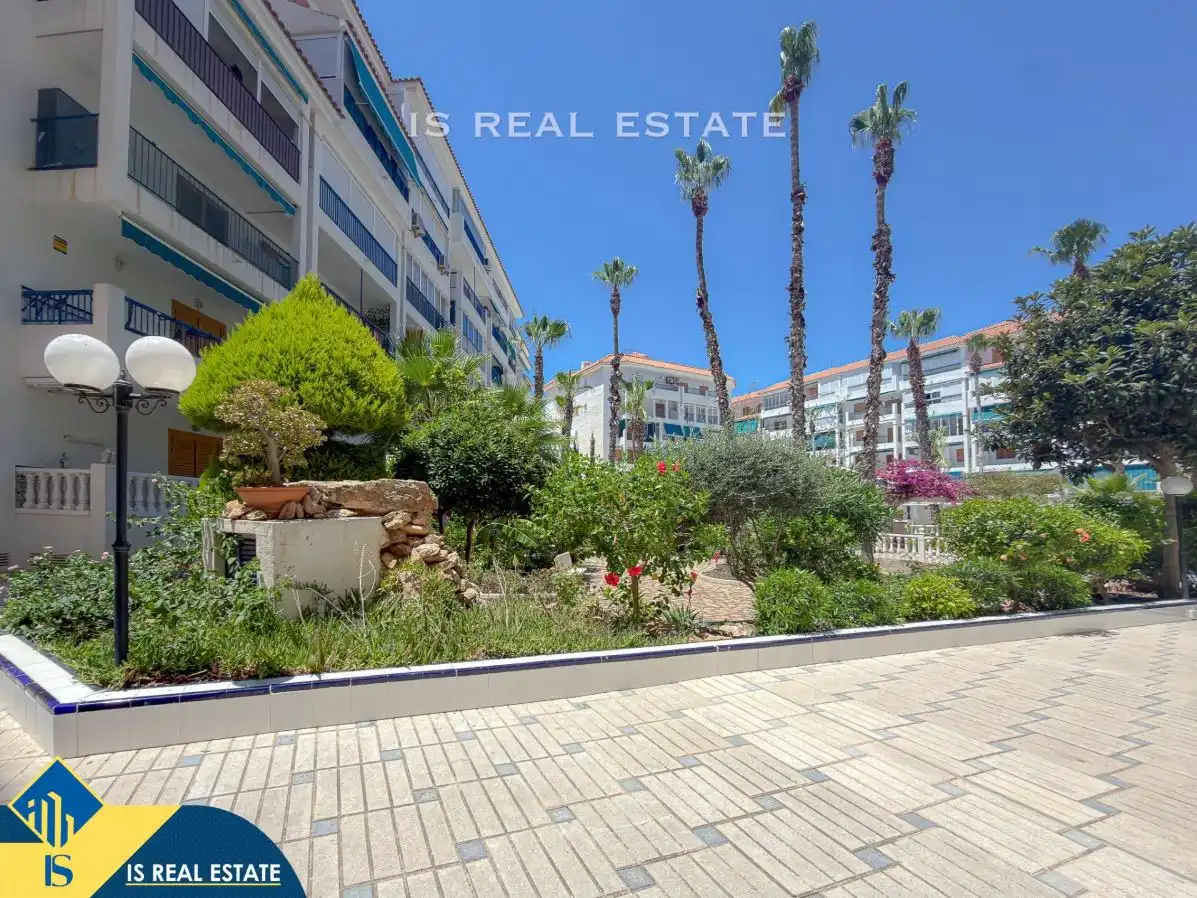 Vista exterior de Estudio en venta en Torrevieja con Aire acondicionado, Calefacción y Terraza