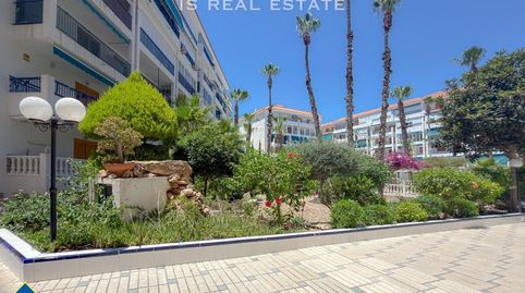Foto 4 de Estudio en venta en Los Europeos, Torrevieja