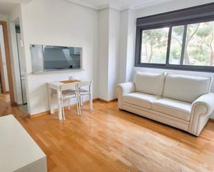 Sala d'estar de Pis de lloguer en  Madrid Capital amb Aire condicionat, Calefacció i Parquet