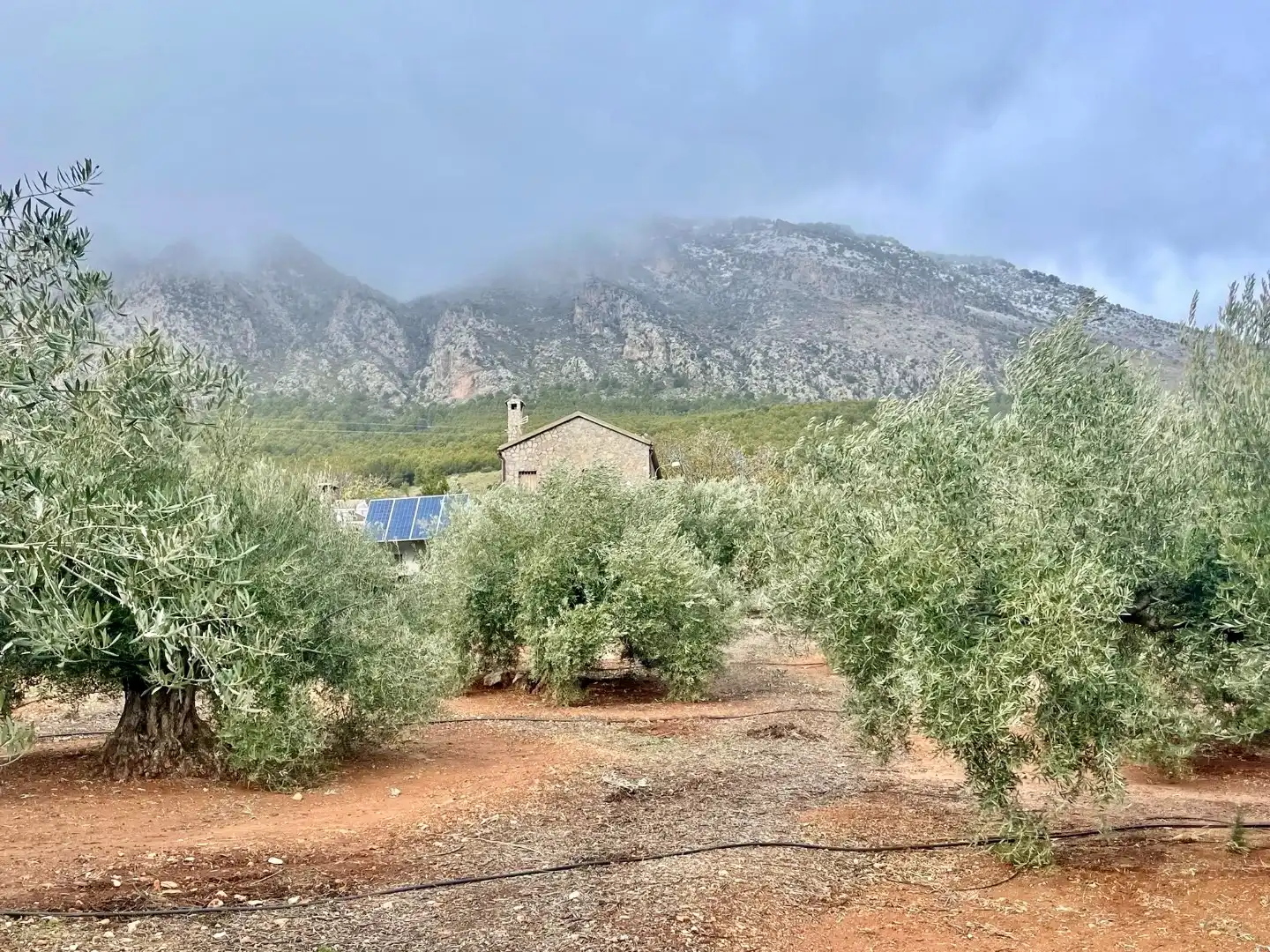 Finca rústica en venda en Huelma, Jaén