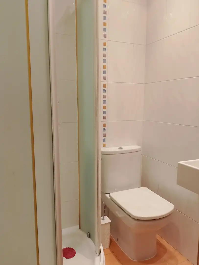 Flat for rent in Gipuzkoa - Alto de los Robles, 11, Loiola