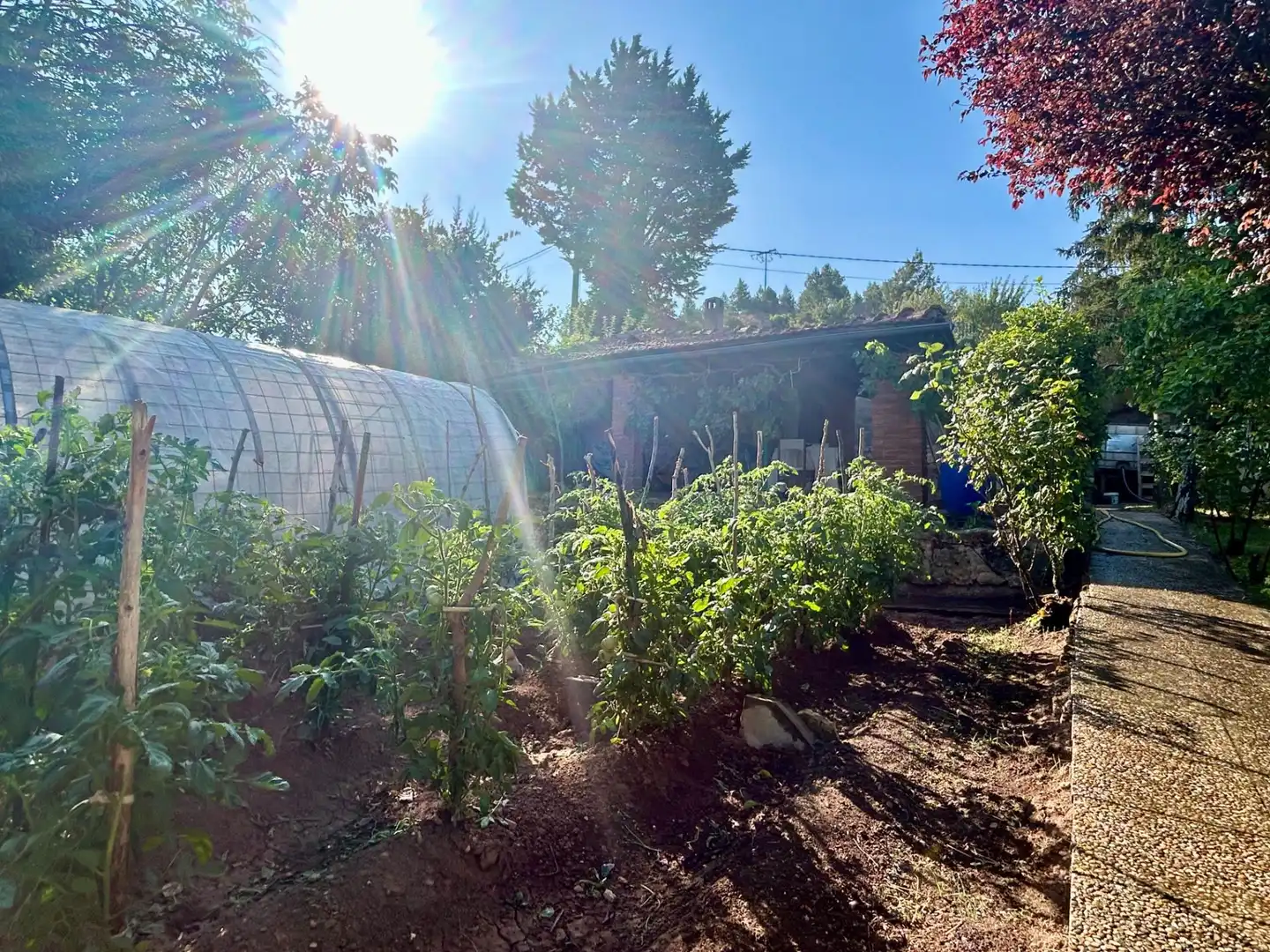 Jardín de Casa o chalet de alquiler en Modúbar de la Emparedada con Calefacción, Terraza y Balcón