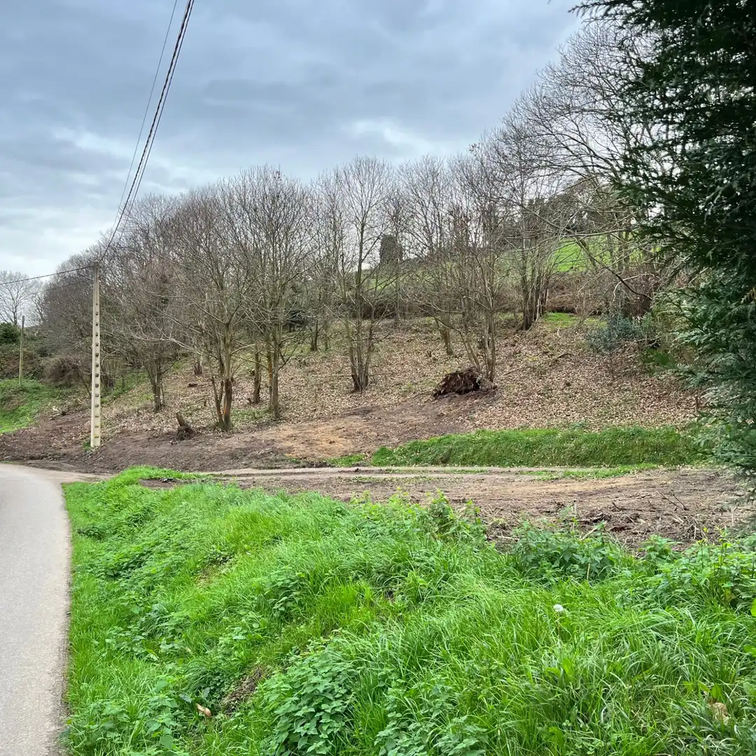 Lands and plots for sale in Pillarno - Aldea Pipe, imagen 10