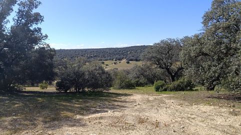 Foto 5 de Terreno en venta en Villafranca del Castillo, Villanueva de la Cañada