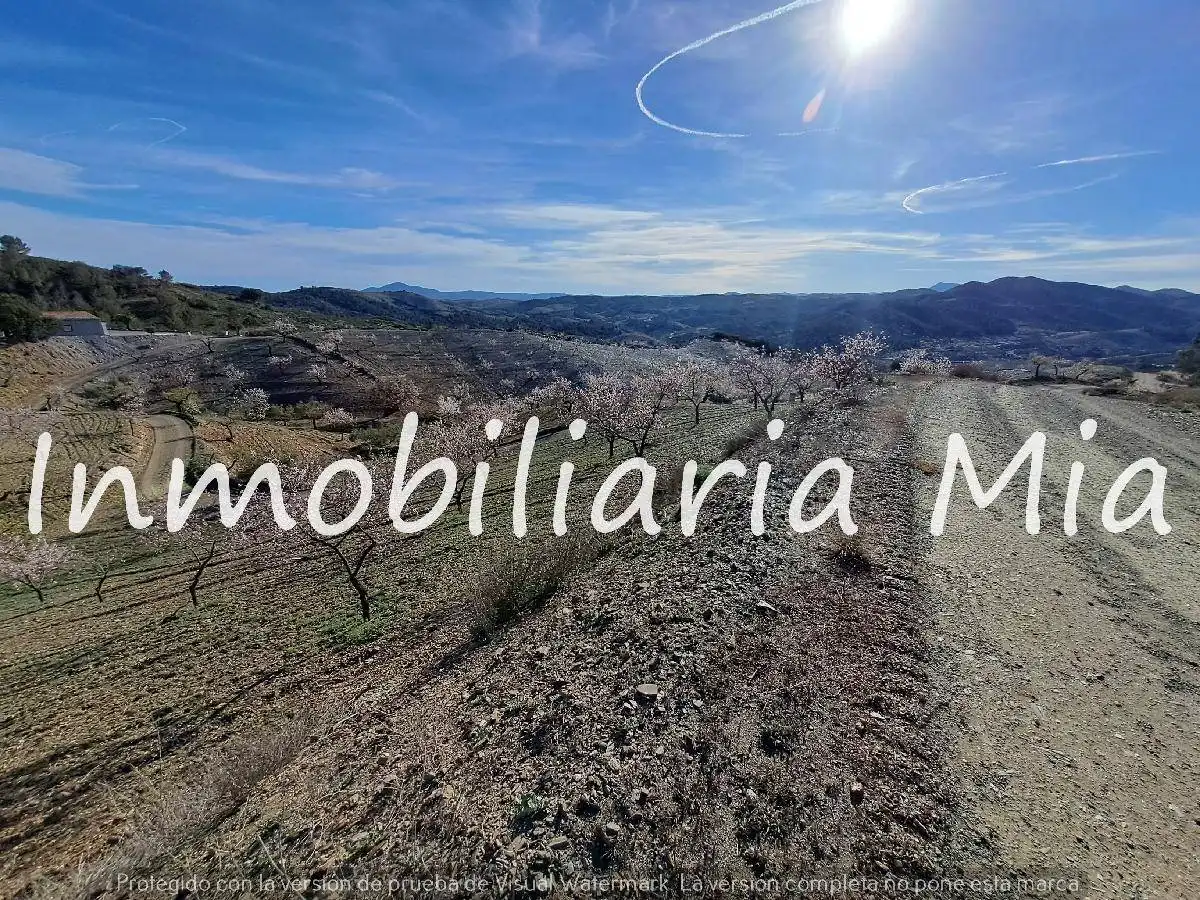 Casa o chalet en venta en Zarzalico