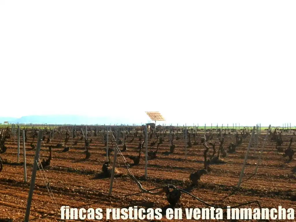 Terreni e lotti in vendita a Madridejos, imagen 10