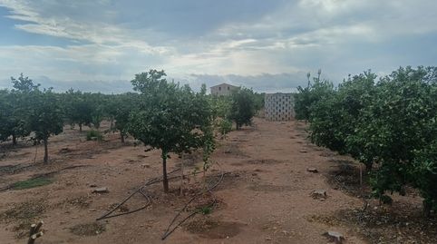 Foto 5 de Finca rústica en venda a Piscinas, Vila-real