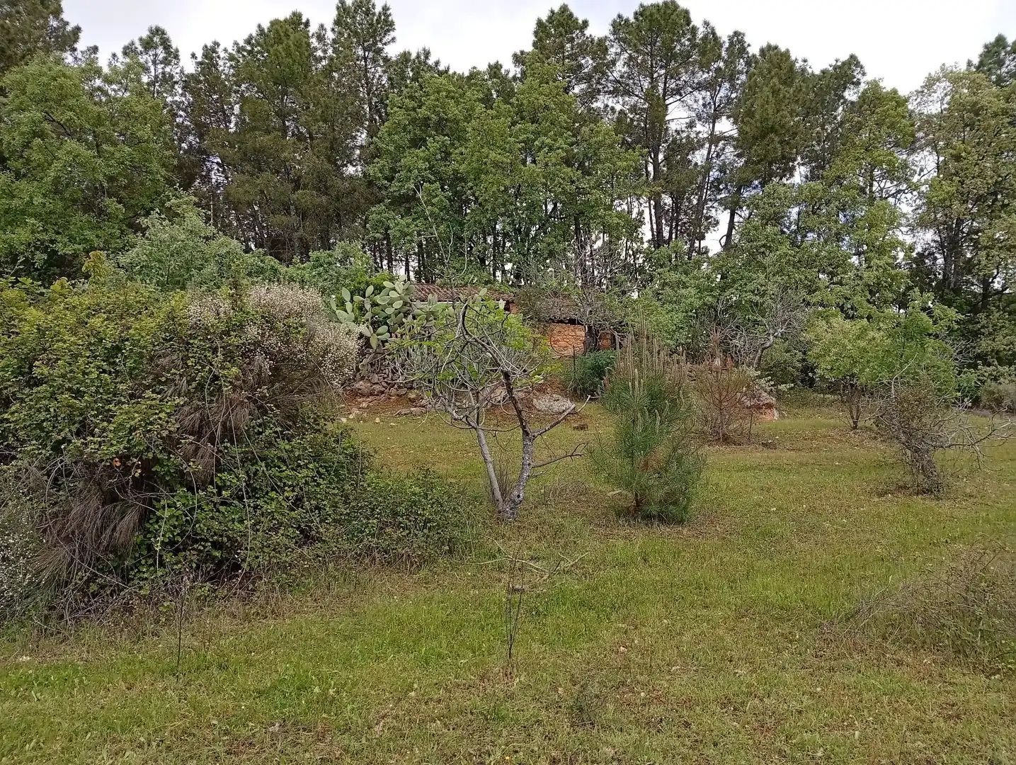 Terreni e lotti in vendita a Villanueva de la Vera, imagen 69