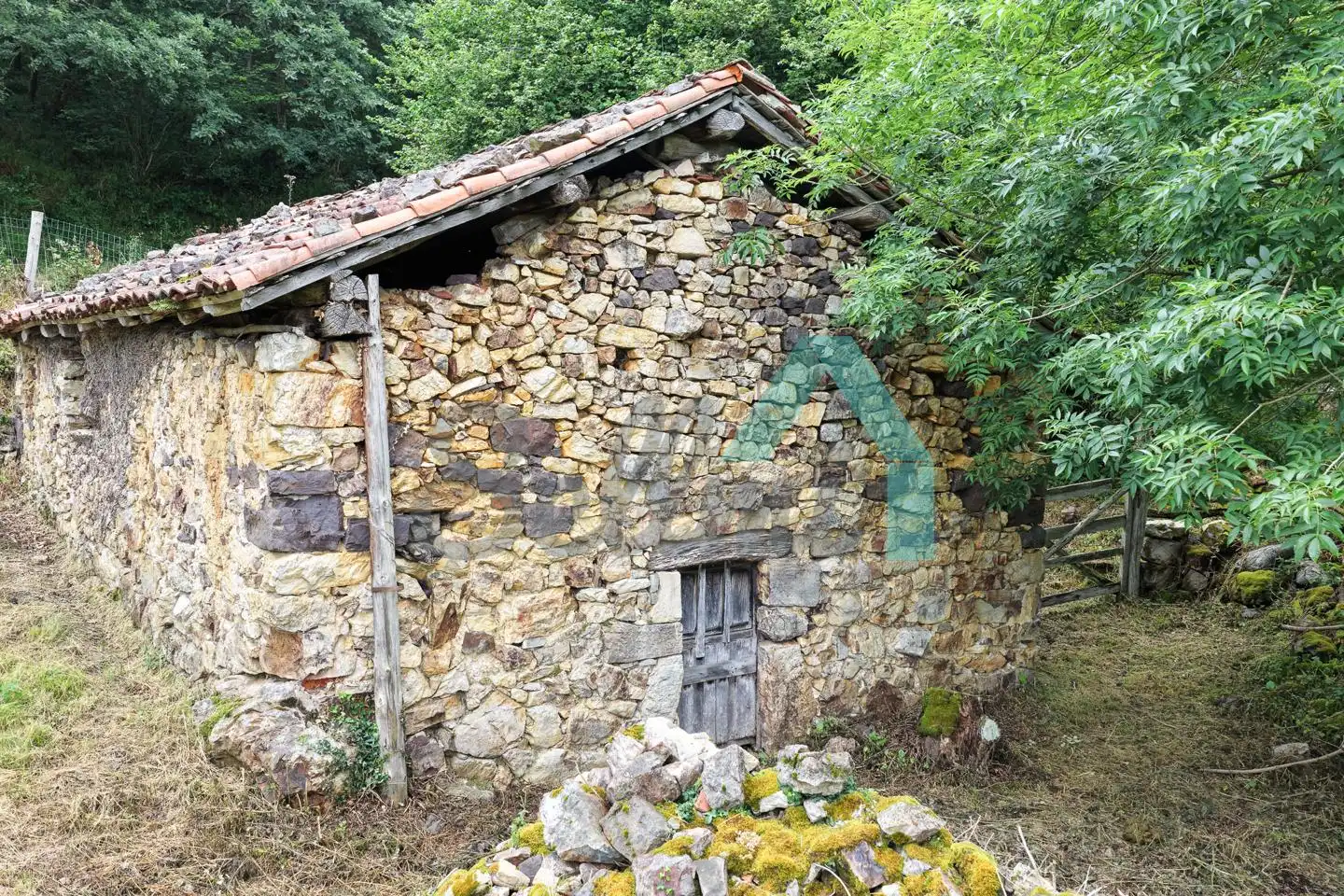 Exterior view of Land for sale in Proaza