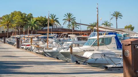 Foto 5 de Estudio en venta en Port d'Alcúdia - Platja d'Alcúdia, Alcúdia