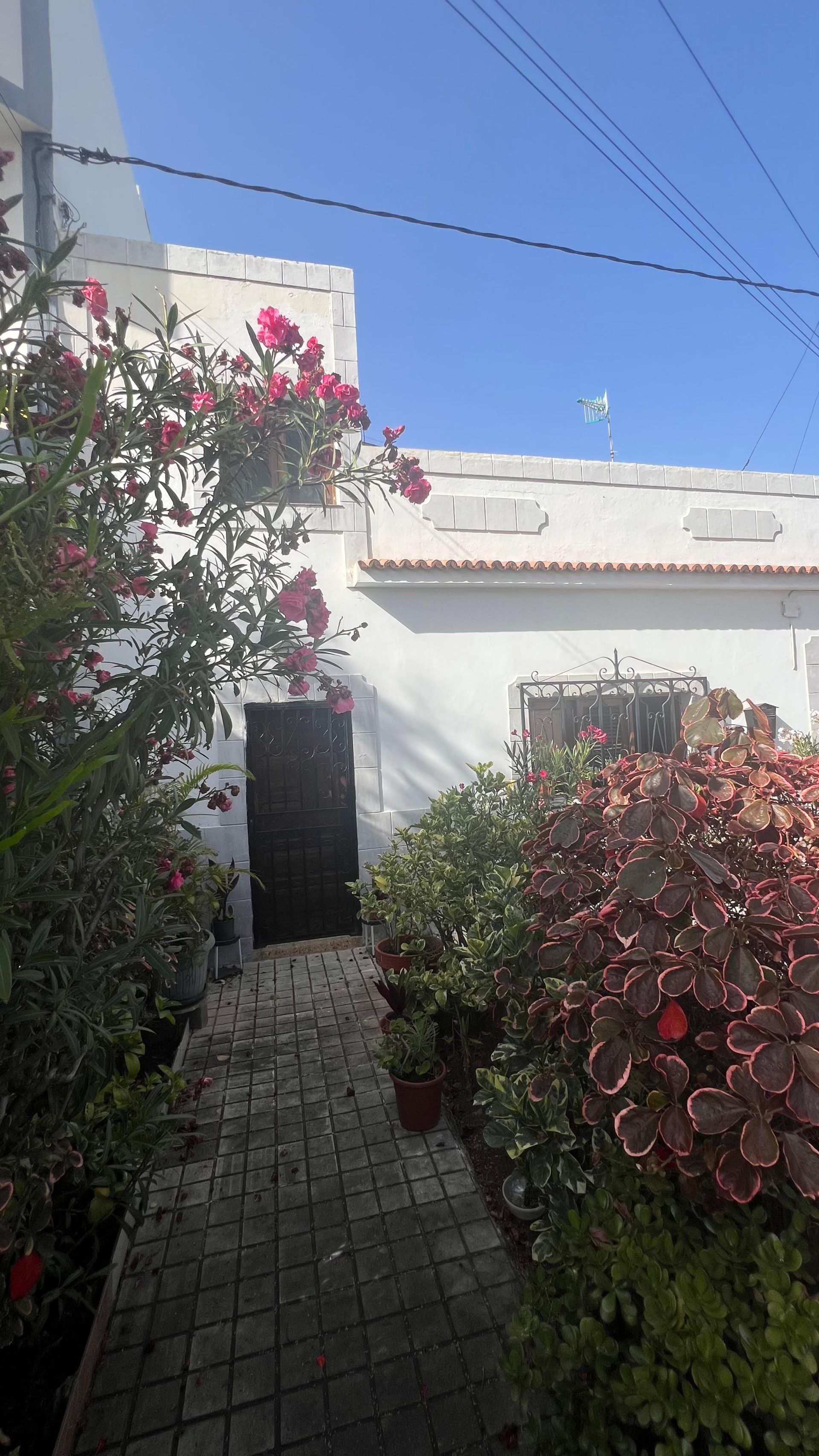 Jardí de Casa o xalet en venda en Las Palmas de Gran Canaria