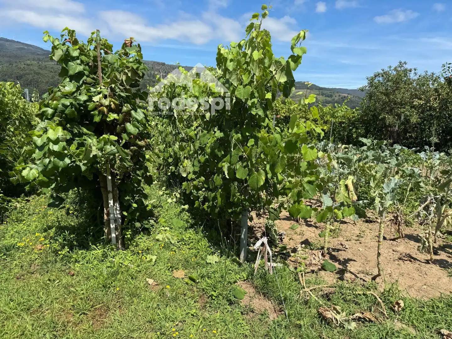 Casa o xalet en venda en Arbo amb Moblat