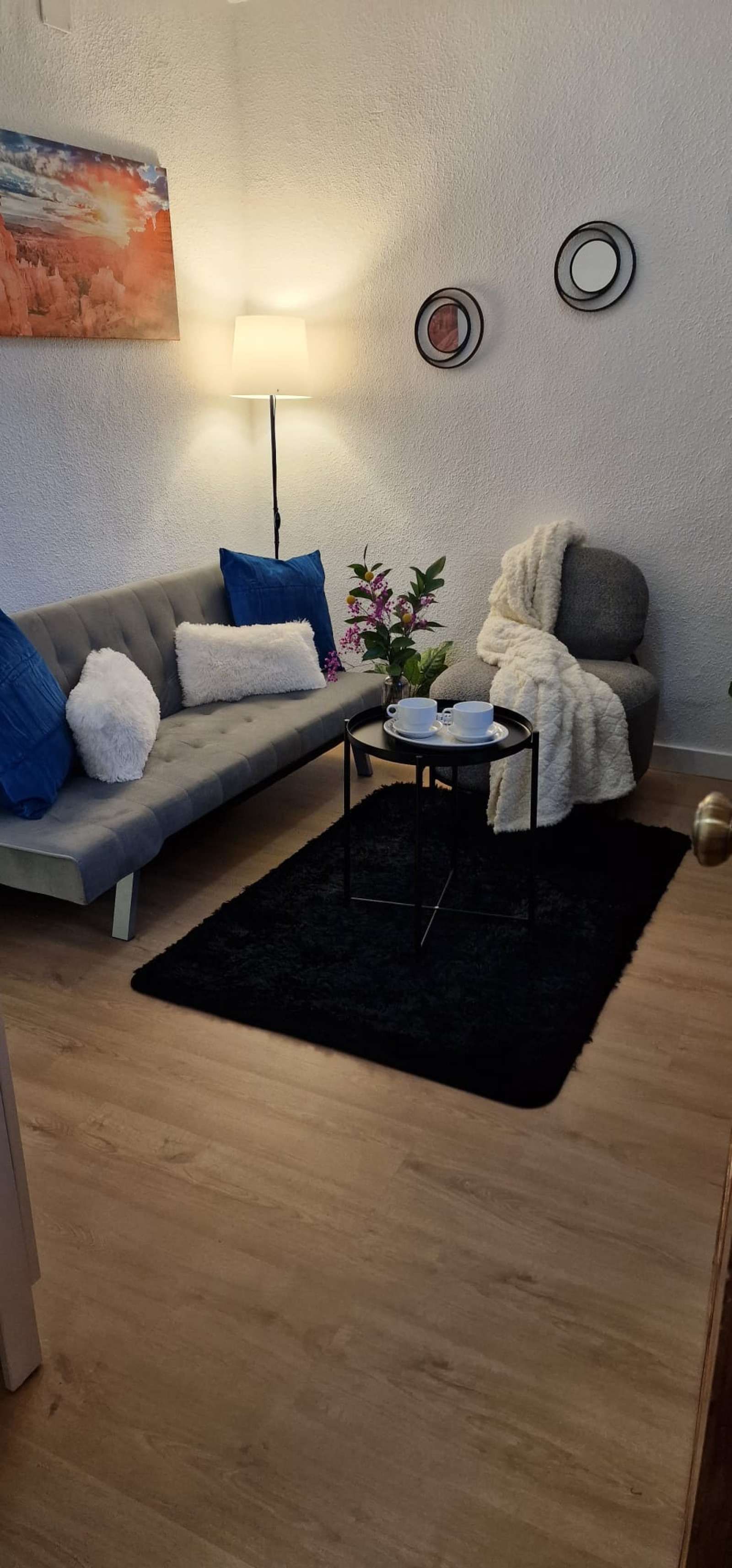 Sala d'estar de Estudi per a compartir en  Madrid Capital amb Aire condicionat, Calefacció i Terrassa