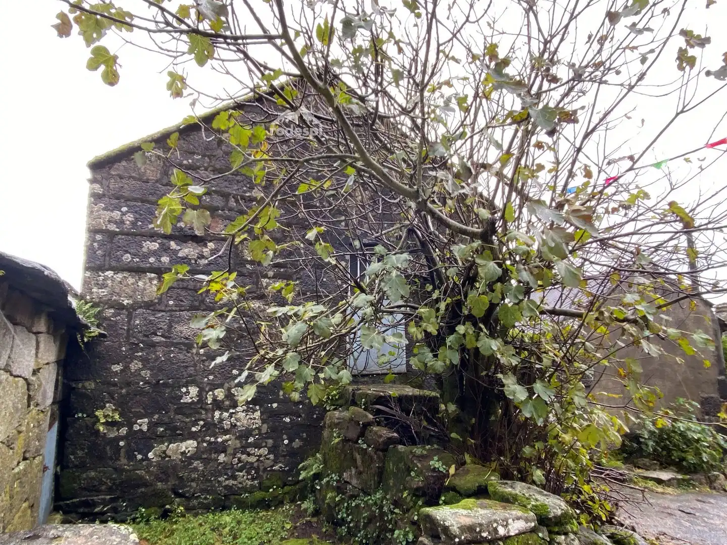 House for sale in Melón, imagen 5
