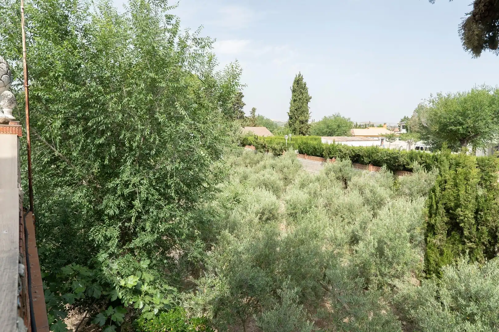 Casa o chalet en venta en Jaén