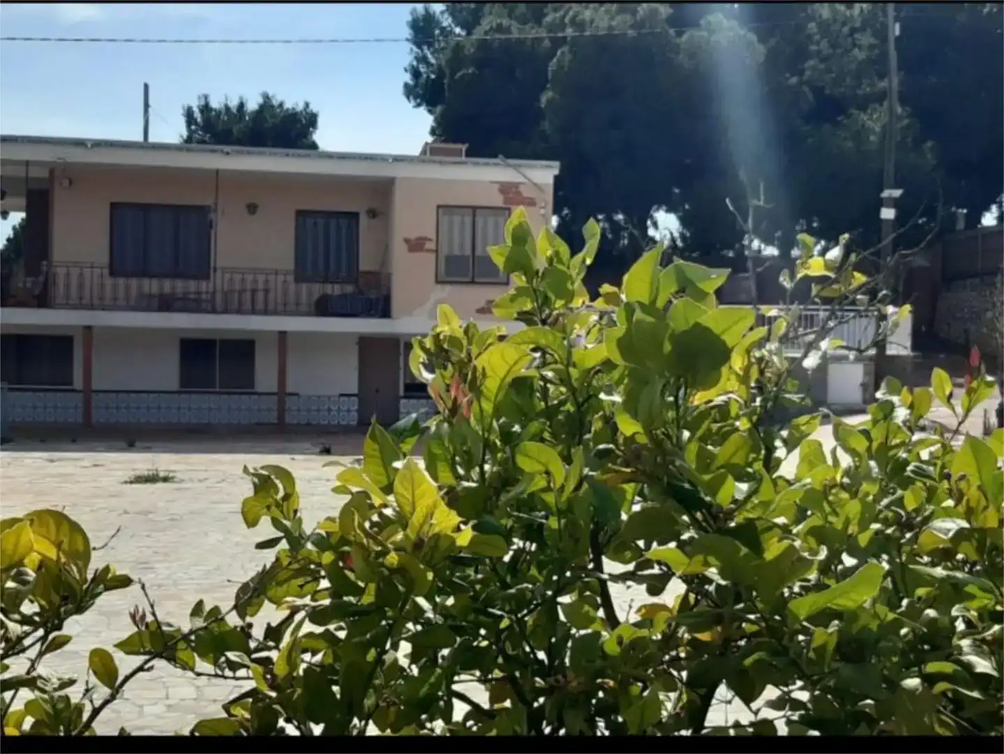 Vista exterior de Piso en venta en Crevillent, Alicante