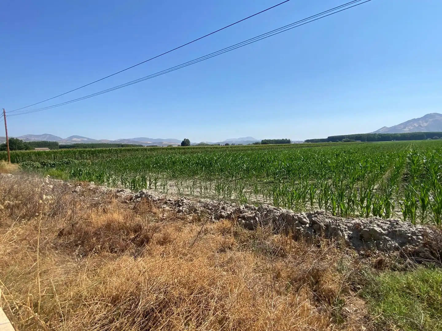 Grundstücke und Bauplätze zum Verkauf in Fuente Vaqueros, imagen 10